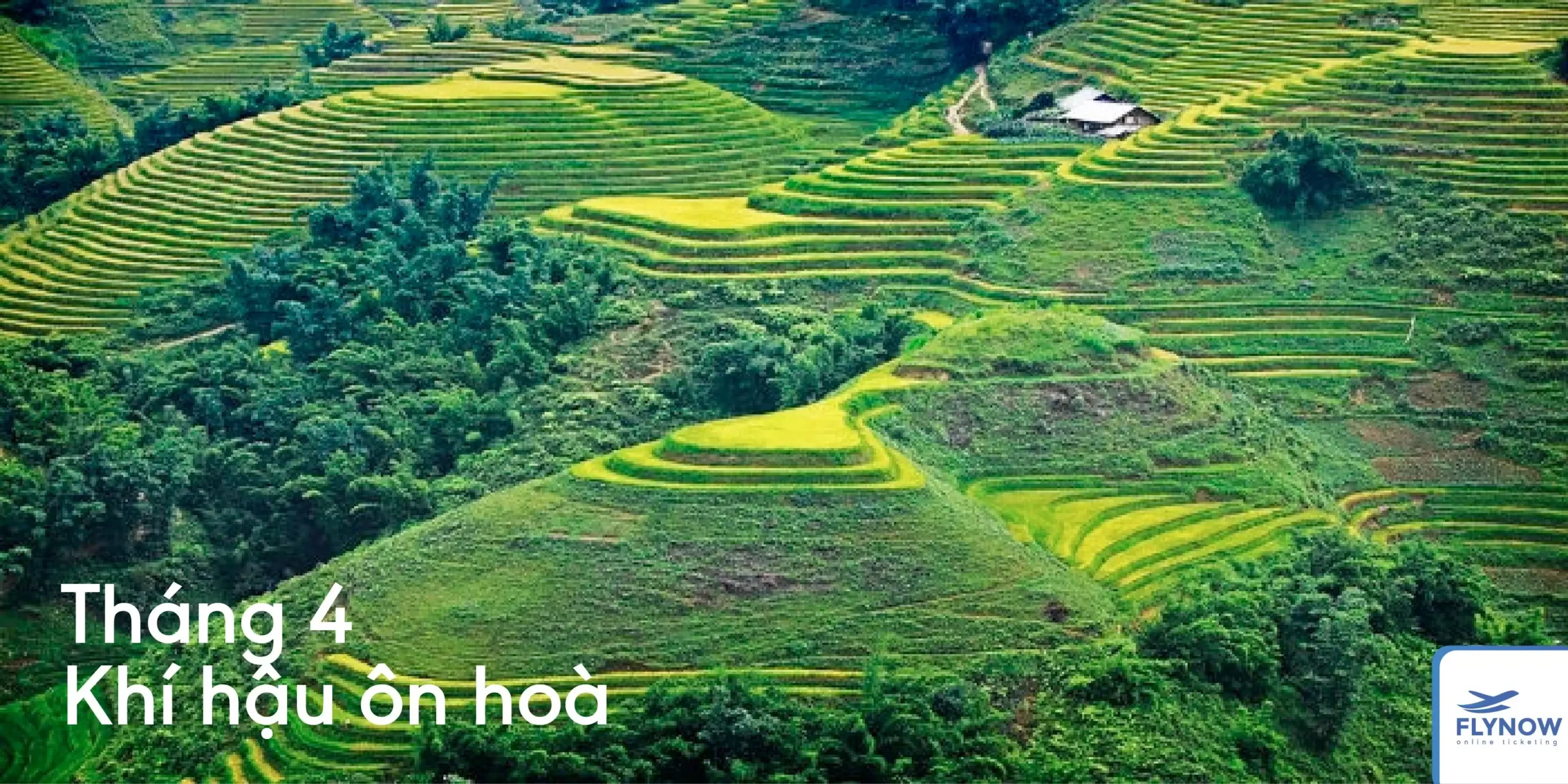 12 tháng ở Sapa