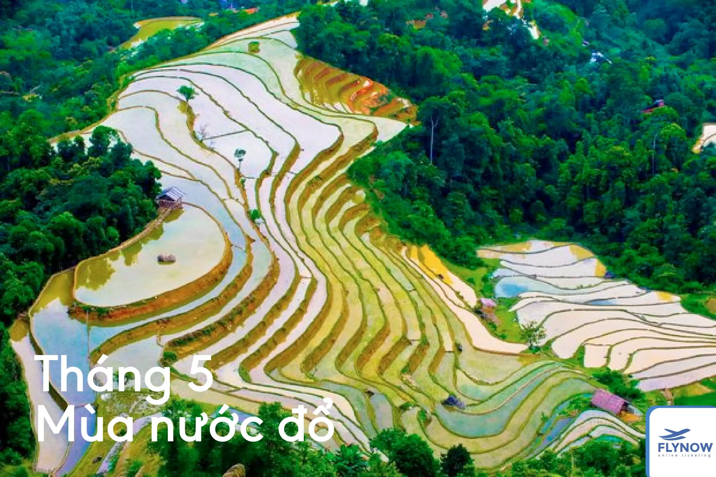 12 tháng ở Sapa