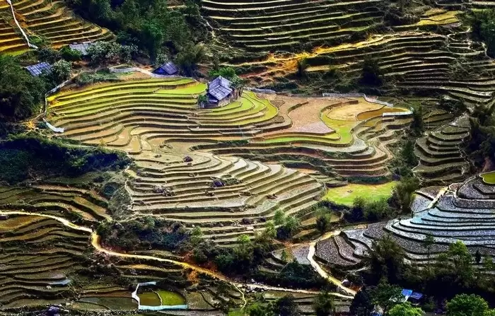 Ruộng bậc thang Tả Van