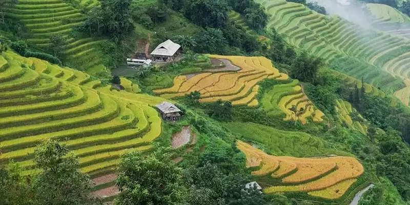 Check ngay kinh nghiệm du lịch Hà Giang tự túc từ A đến Z cùng Ví MoMo