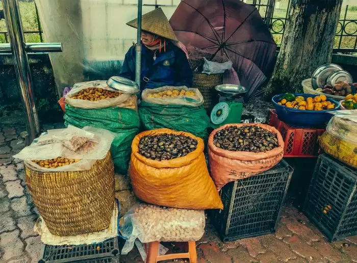 Hồn quê SaPa