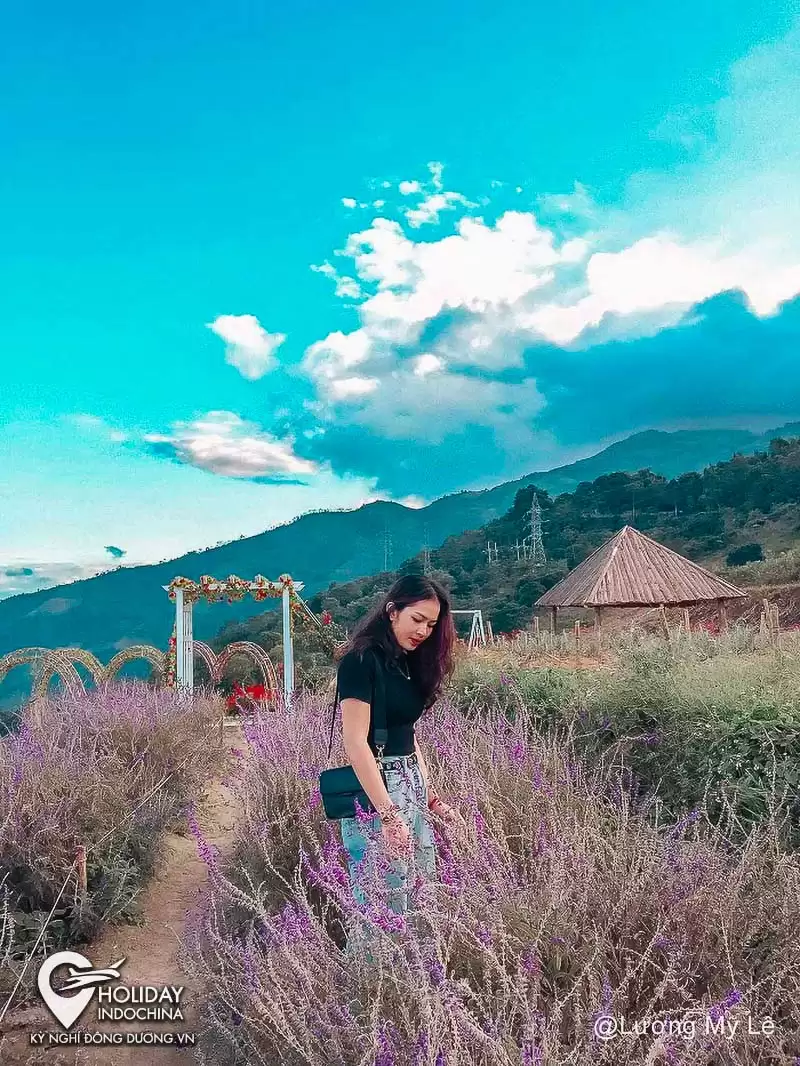 tour sapa từ hà nội