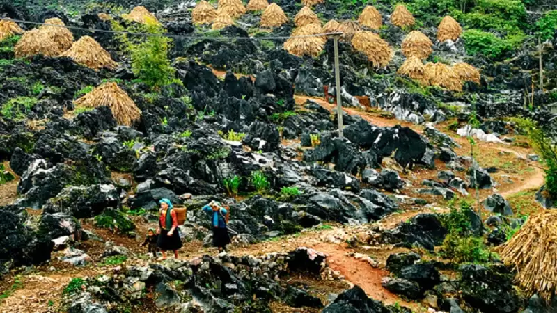 cao nguyên đá đồng văn