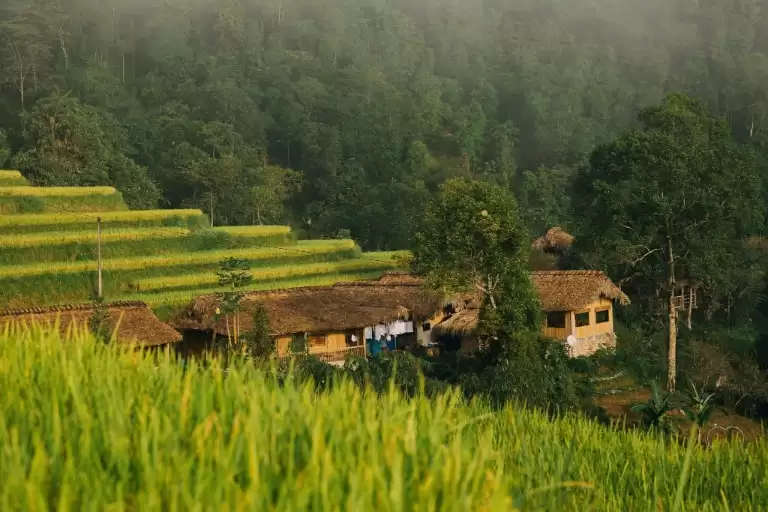 Lên lịch trình dựa trên việc lựa chọn thời gian du lịch