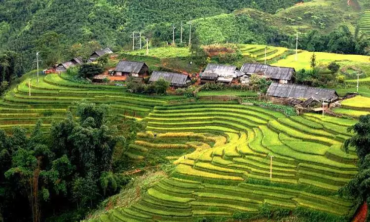 Bản Sín Chải.