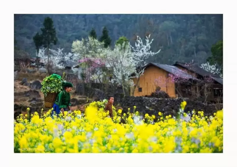 du-lich-ha-giang-thang-12-2