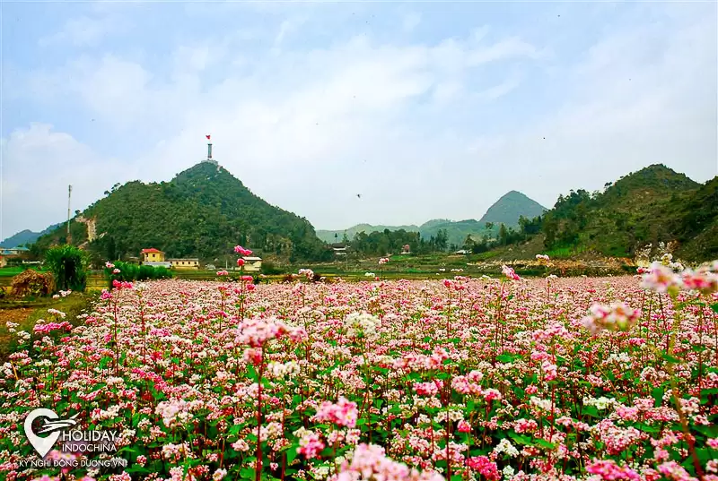 tour hà giang