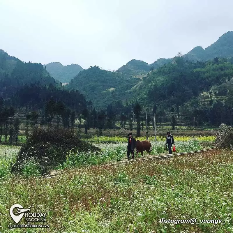 tour hà giang 2 ngày 1 đêm