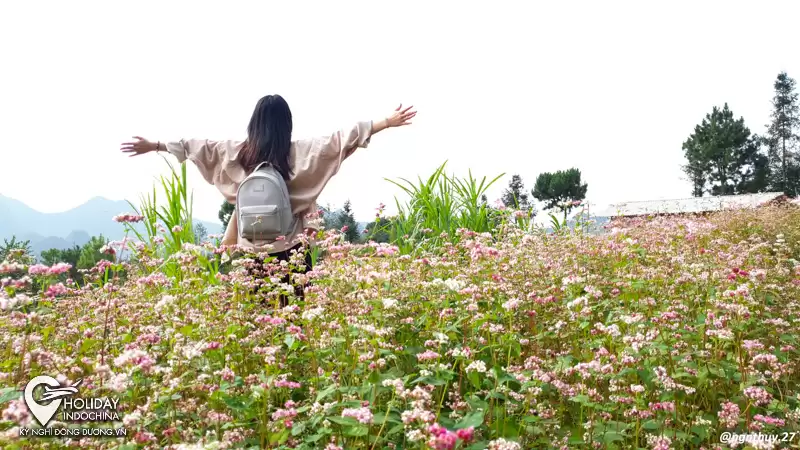 tour du lịch hà giang