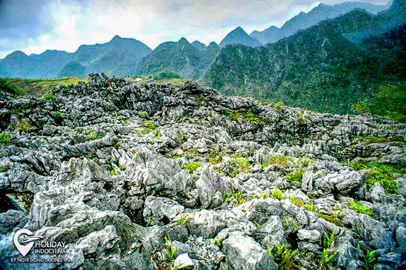 tour hà giang từ hà nội