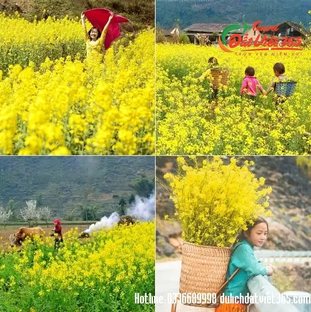 du lịch hà giang tháng 10-11-12