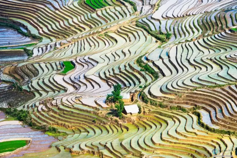 ruong-bac-thang-du-lich-sapa-lao-cai