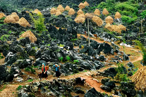 cao nguyên đá Đồng Văn