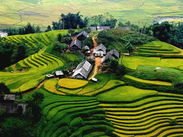 TOP 10 Tour Du Lịch Sapa Hot nhất 2024 Giá Chỉ Từ 650.000đ | Viet Fun Travel