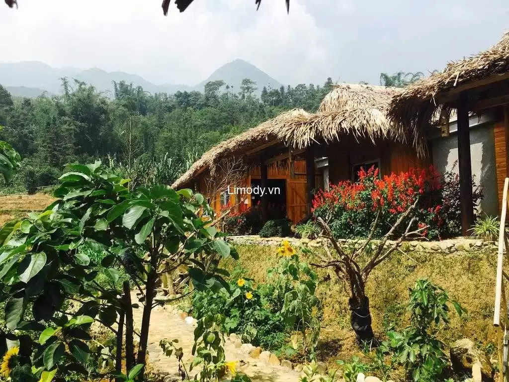 Top 30 homestay Sapa giá rẻ view đẹp gần trung tâm, chợ đêm dưới 500k