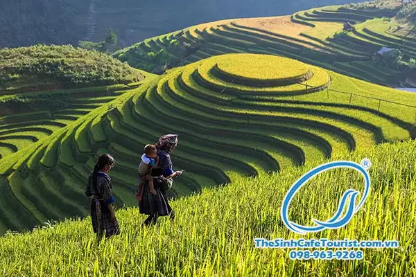 Tour du lịch Sapa dành cho 2 người trọn gói giá siêu rẻ