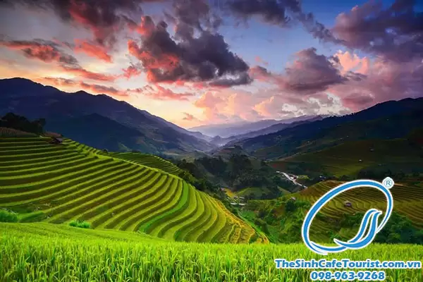 Tour du lịch Sapa tháng 9